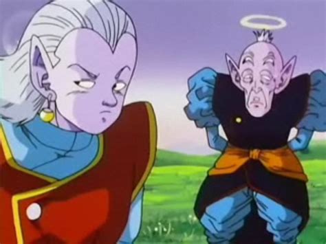 kaioshin dbz|is supreme kai and elder the same person.